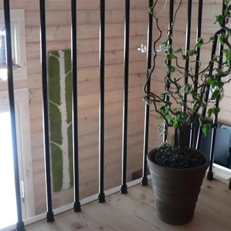 Koitelin Residenssi Villa *