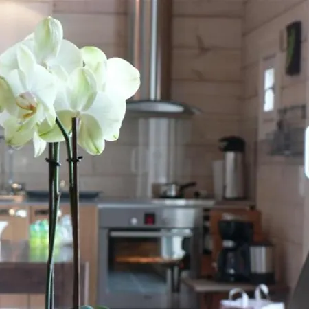 Villa Koitelin Residenssi Oulu